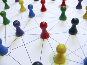 乐鱼体育App下载-中国篮球教练员领导力培养路径，中国篮球协会篮球教练员等级