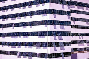 leyu乐鱼官网登录入口-中国篮球职业联赛青训体系建设与优化，中国青年篮球队