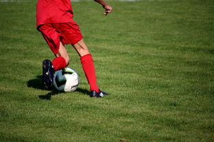 leyu乐鱼在线登录入口-中国篮球职业联赛俱乐部青训体系建设及实践探索，职业篮球青年队